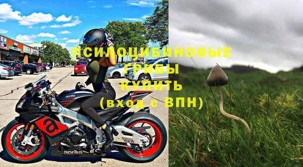 крисы Беломорск