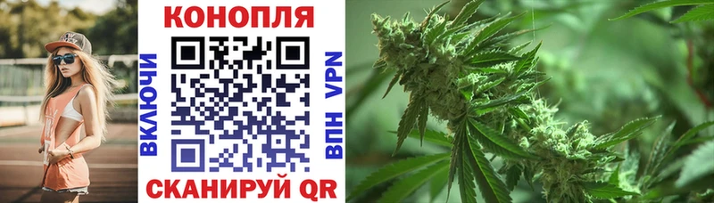 дарнет шоп  Ростов-на-Дону  Каннабис Bruce Banner 